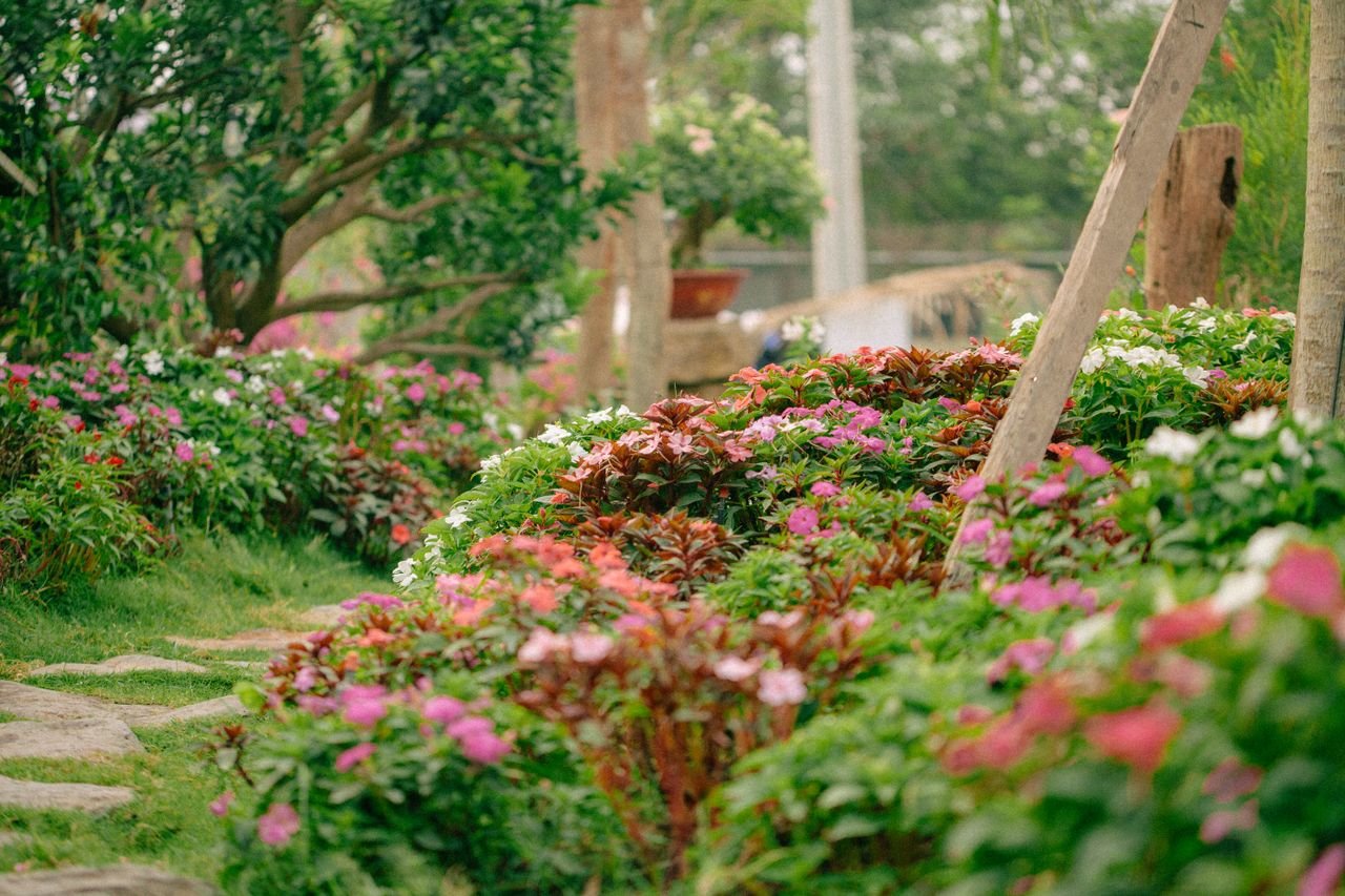 Home A serene garden path lined with vibrant flowers under lush green trees, perfect for a tranquil walk.